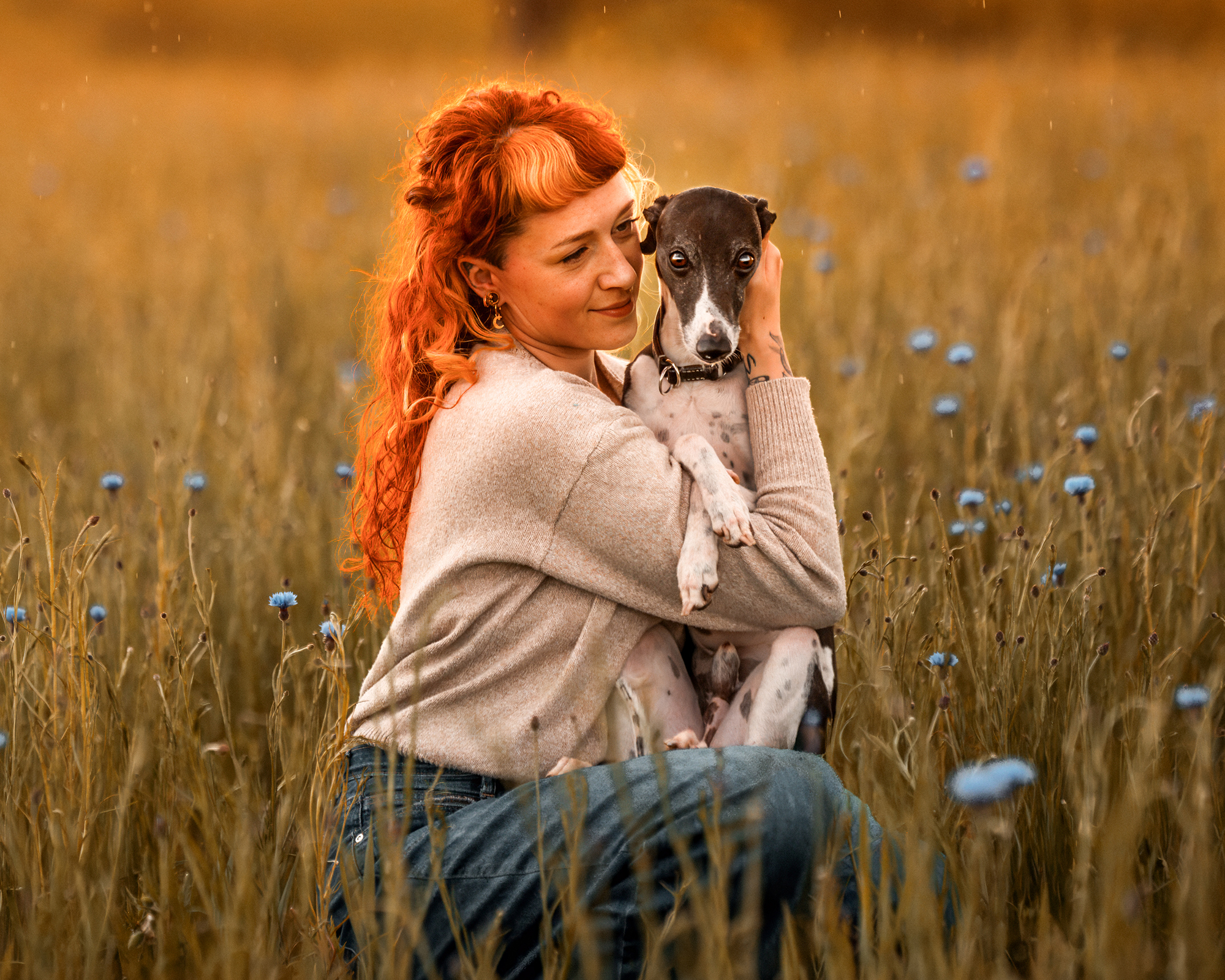Hundefotografie