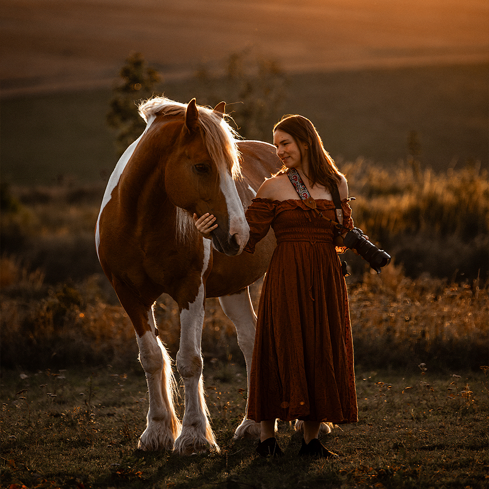 pferd03