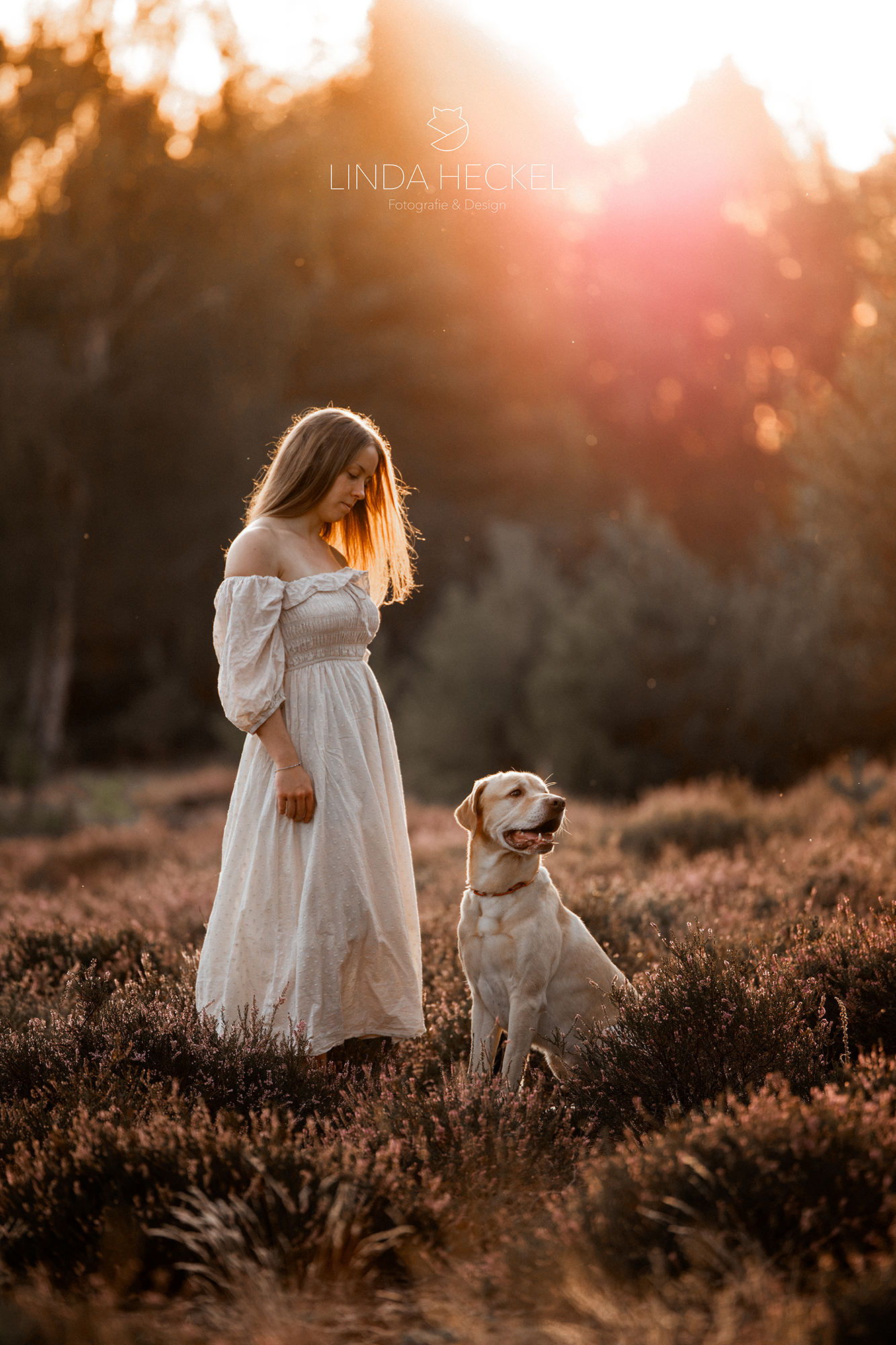 portfolio_hund1