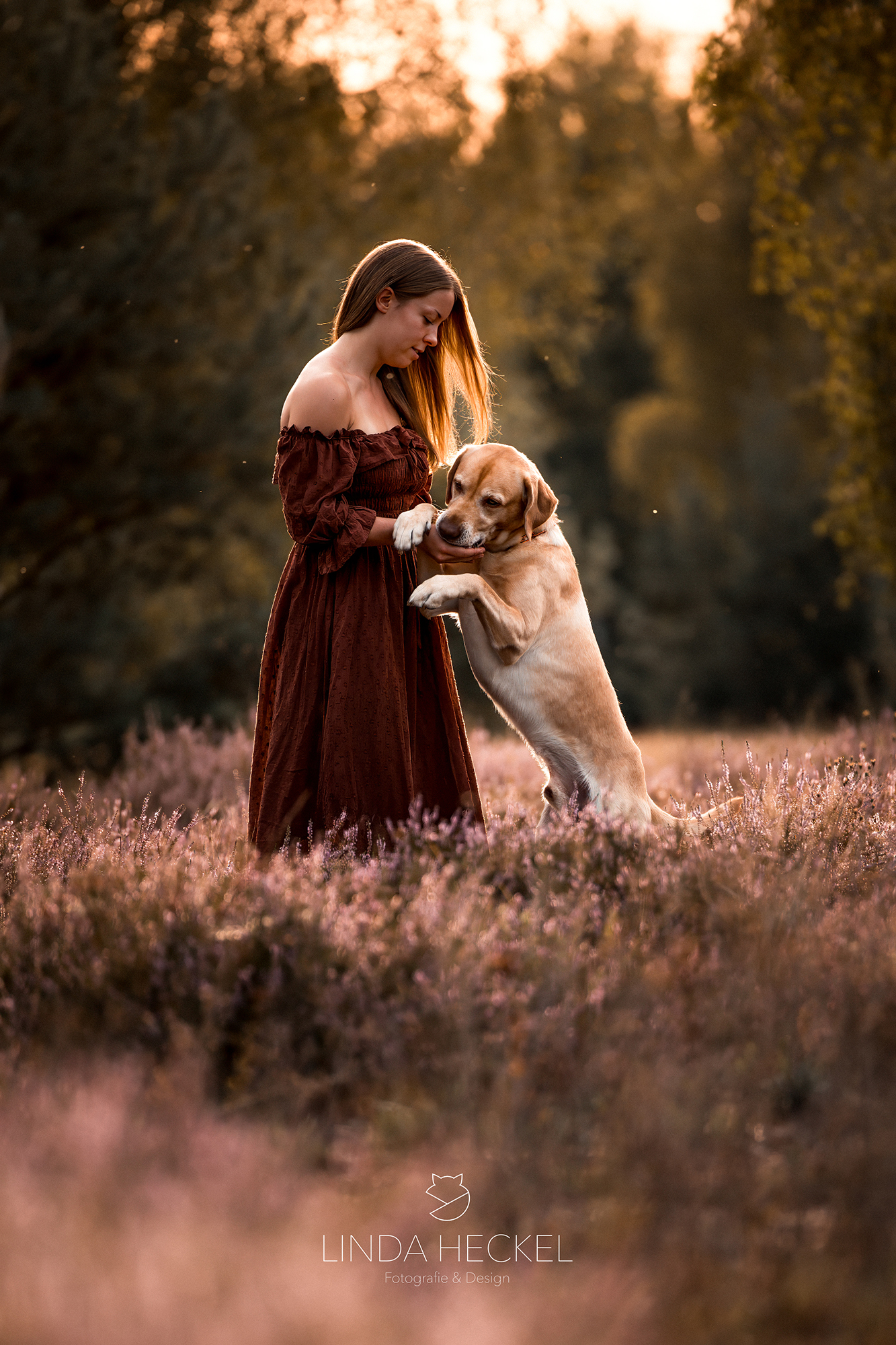 portfolio_hund2