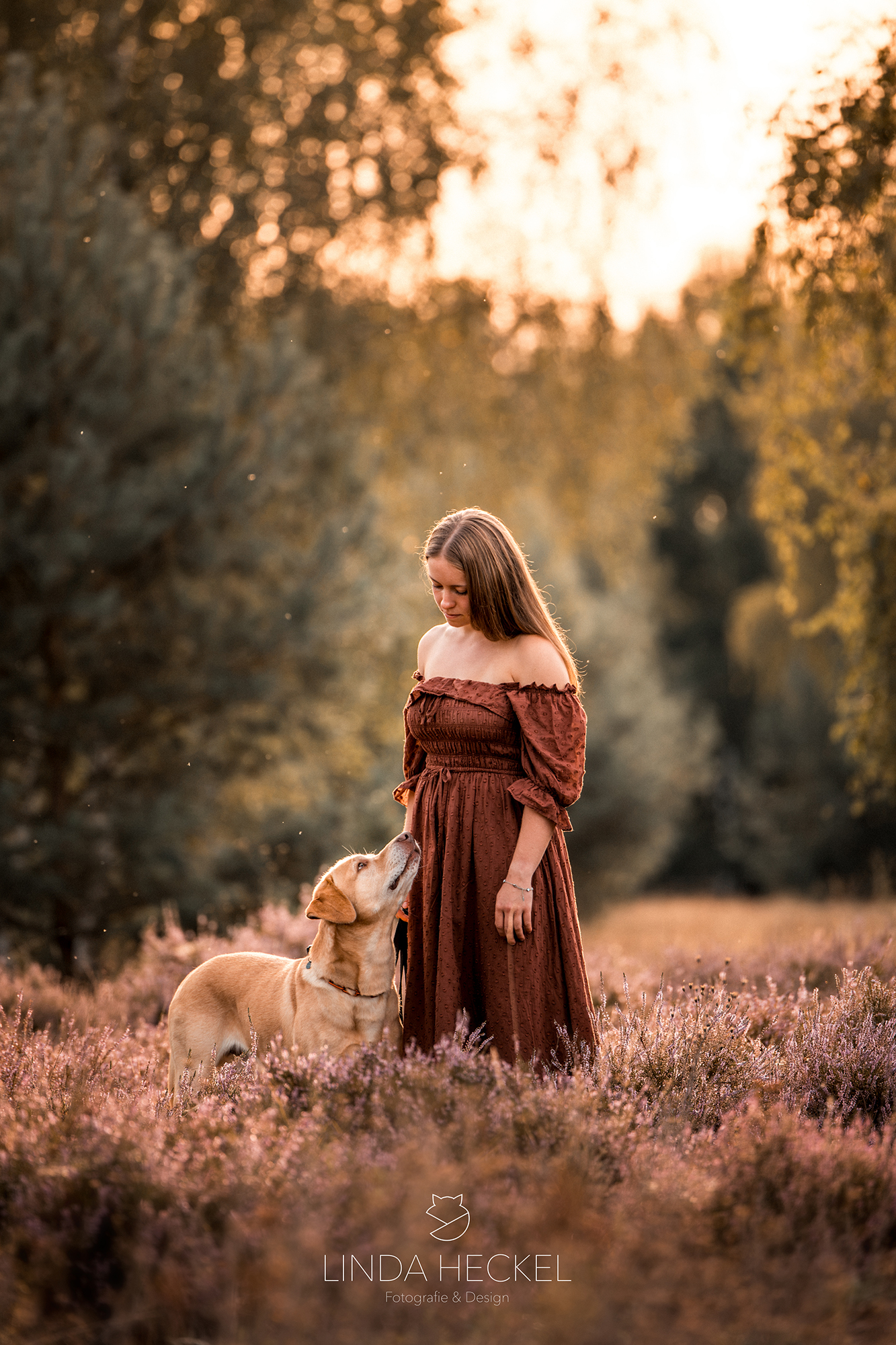 portfolio_hund4