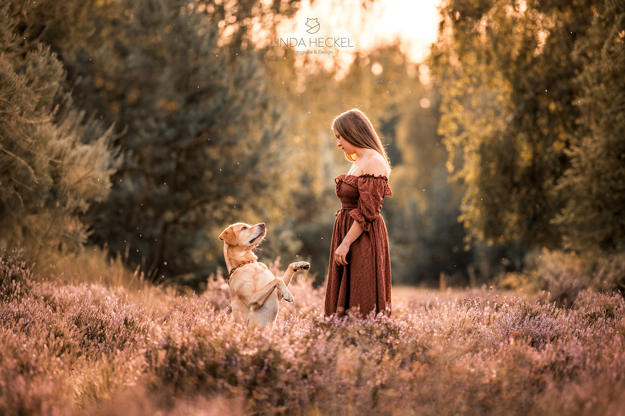 portfolio_hund5