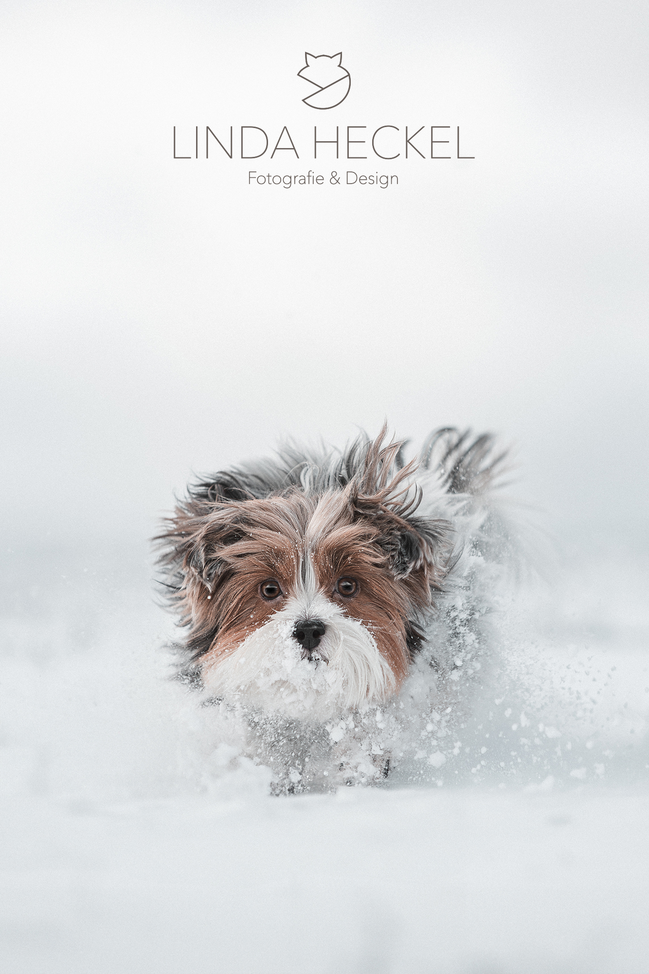 schnee