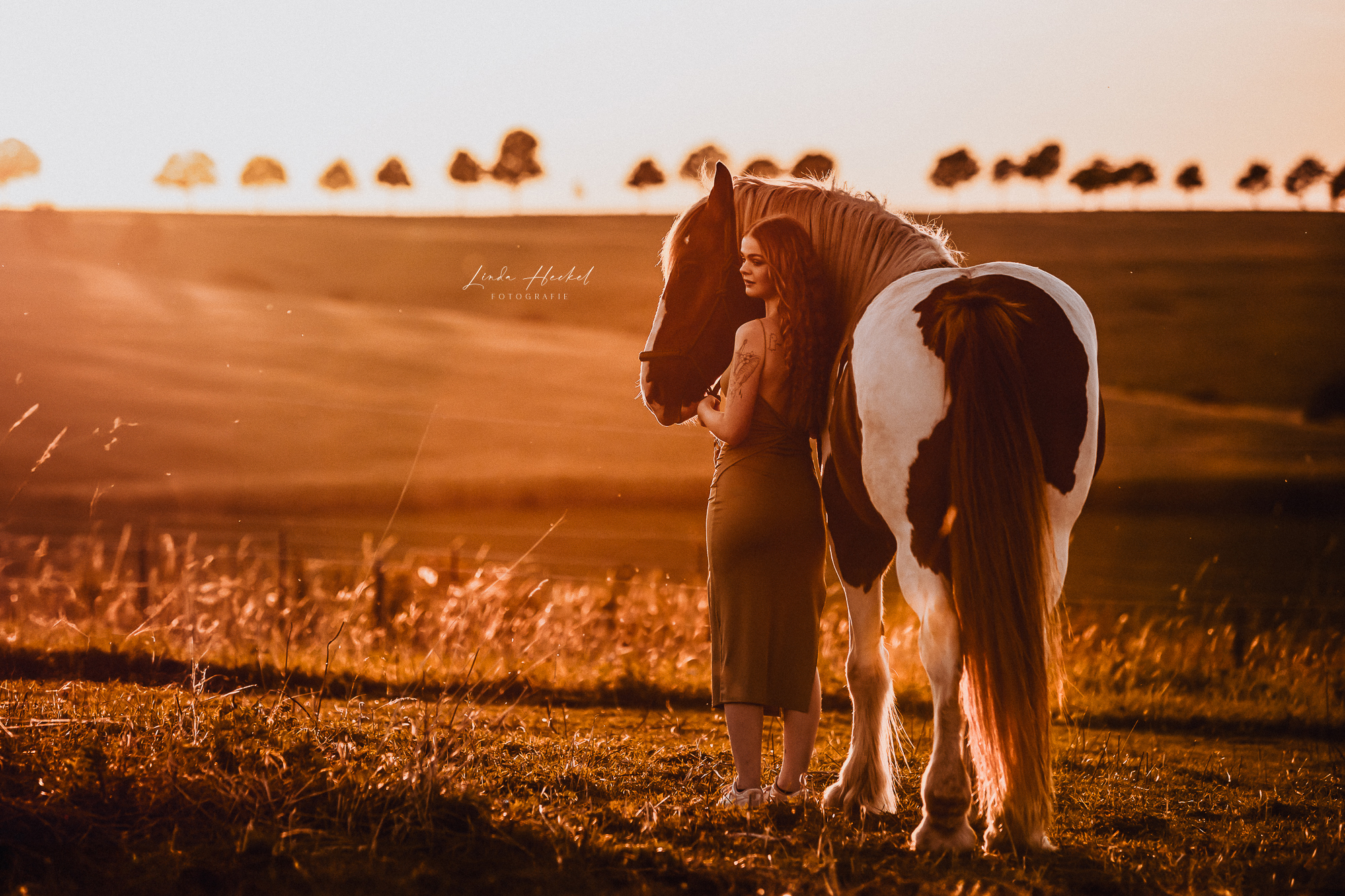 Portfolio25