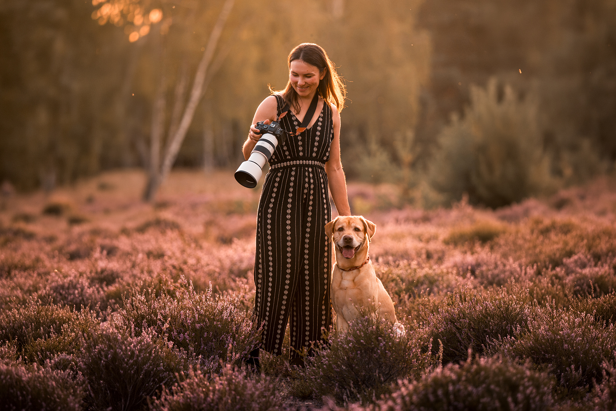 Hundefotografie Dresden